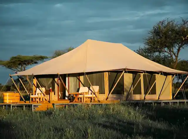 Dove Serengeti