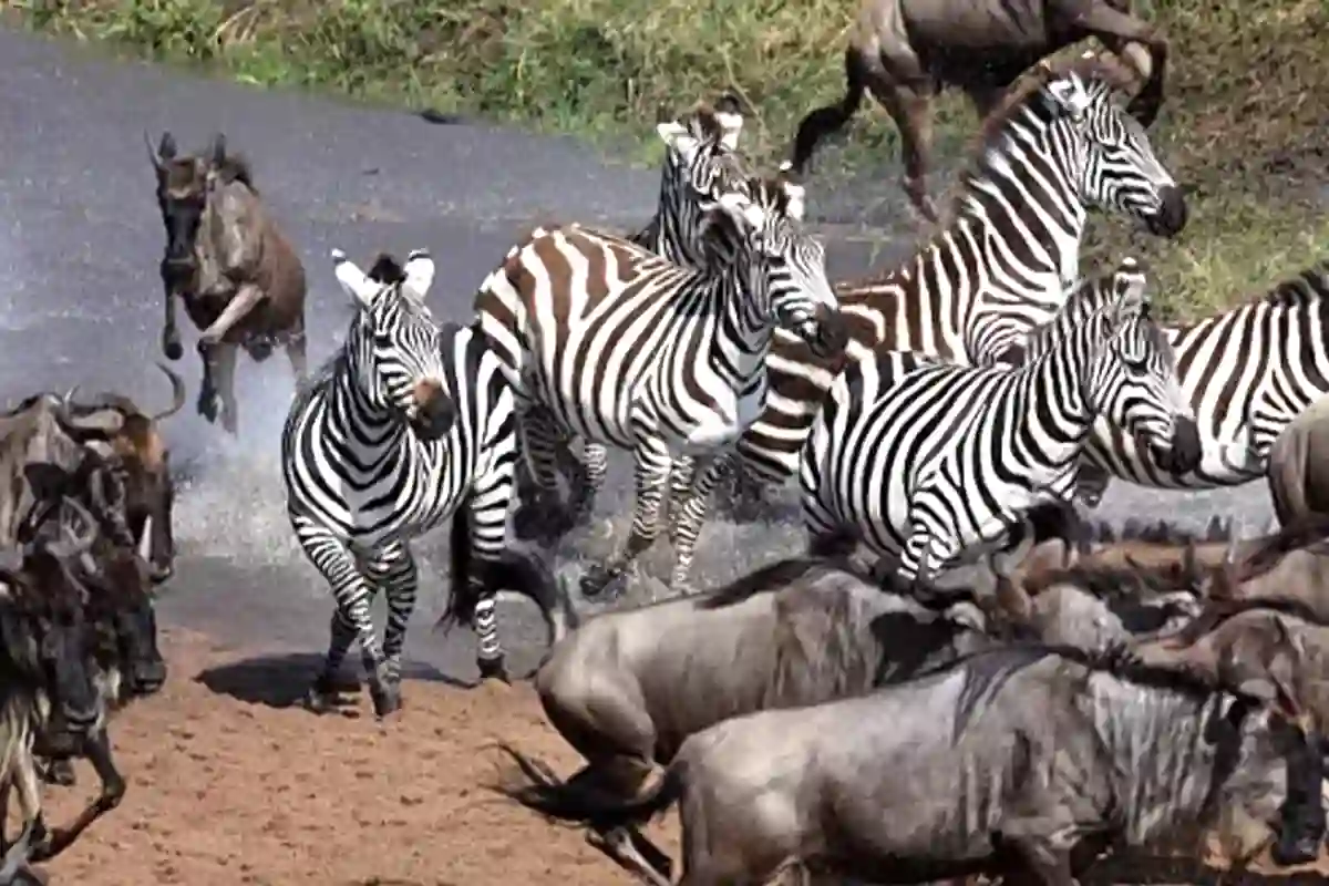 Mount Kilimanjaro route guide