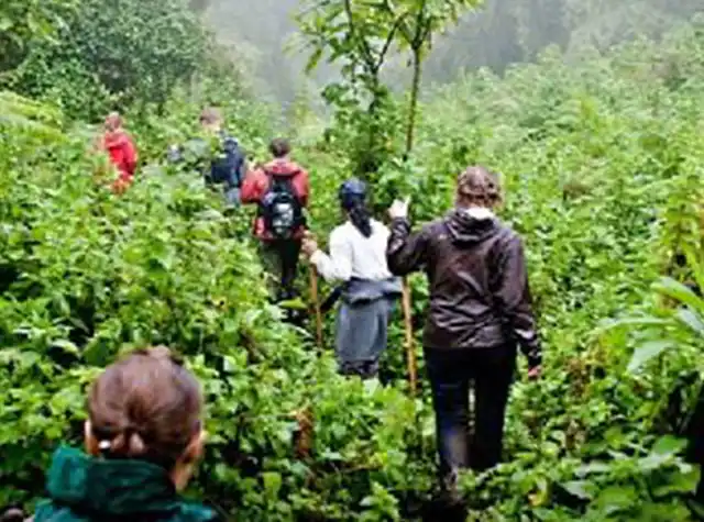 Mount Meru scenery in Arusha National Park