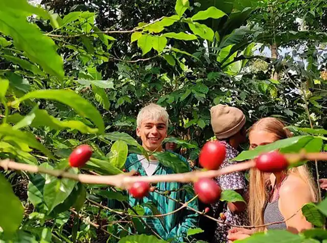 A local coffee farm experience in Tanzania