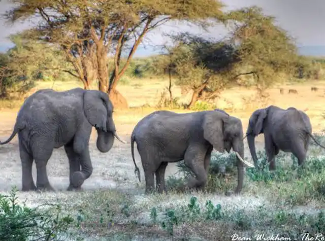 Lake Manyara National Park landscape