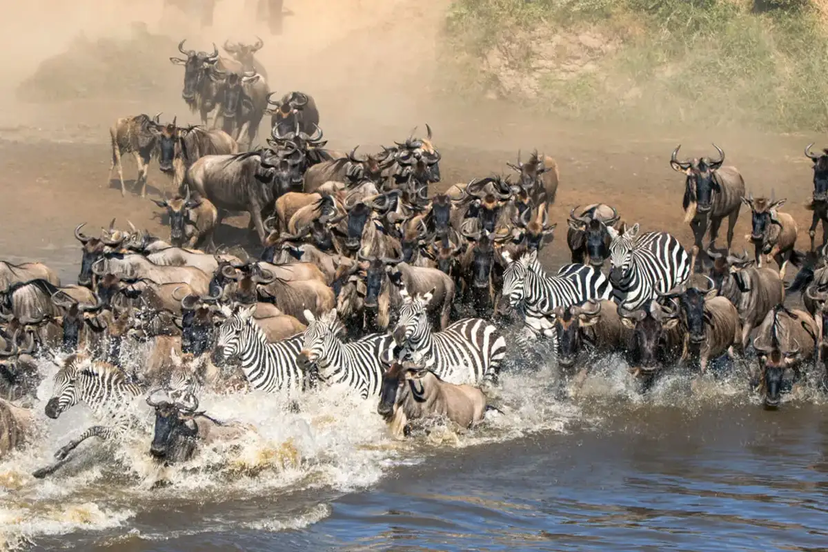 Great Migration safari in Serengeti
