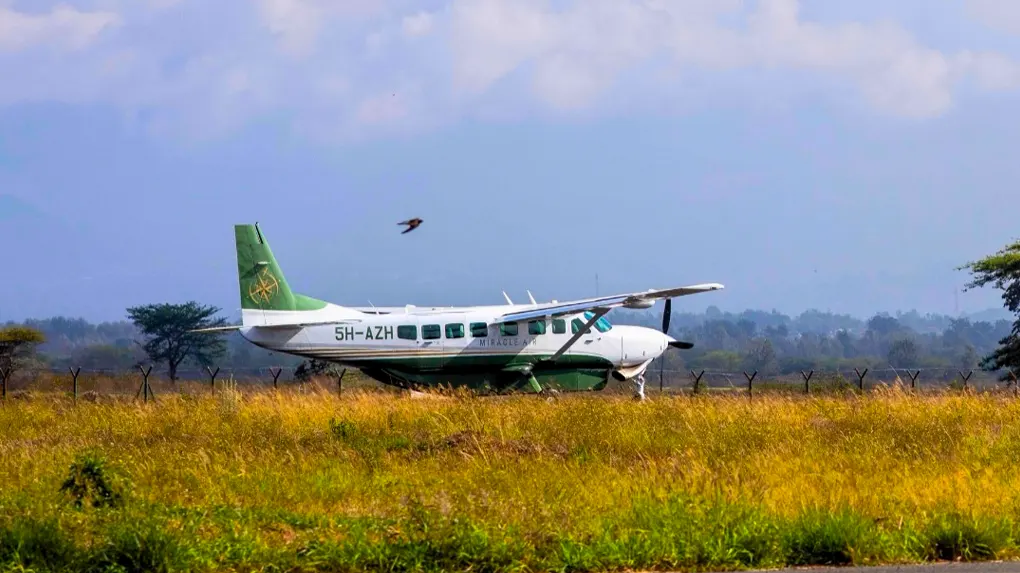 Fly-in safari to Serengeti