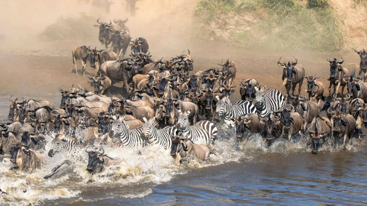Serengeti National Park Great Migration Safari