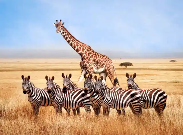 Serengeti National Park