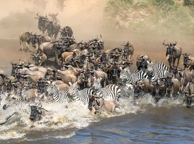 Serengeti National Park