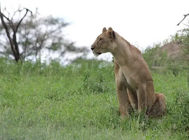 Tarangire National Park