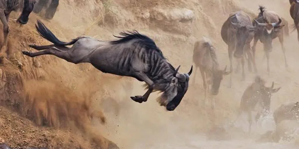 4 Days from Arusha: Tarangire, Serengeti & Ngorongoro Migration Safari