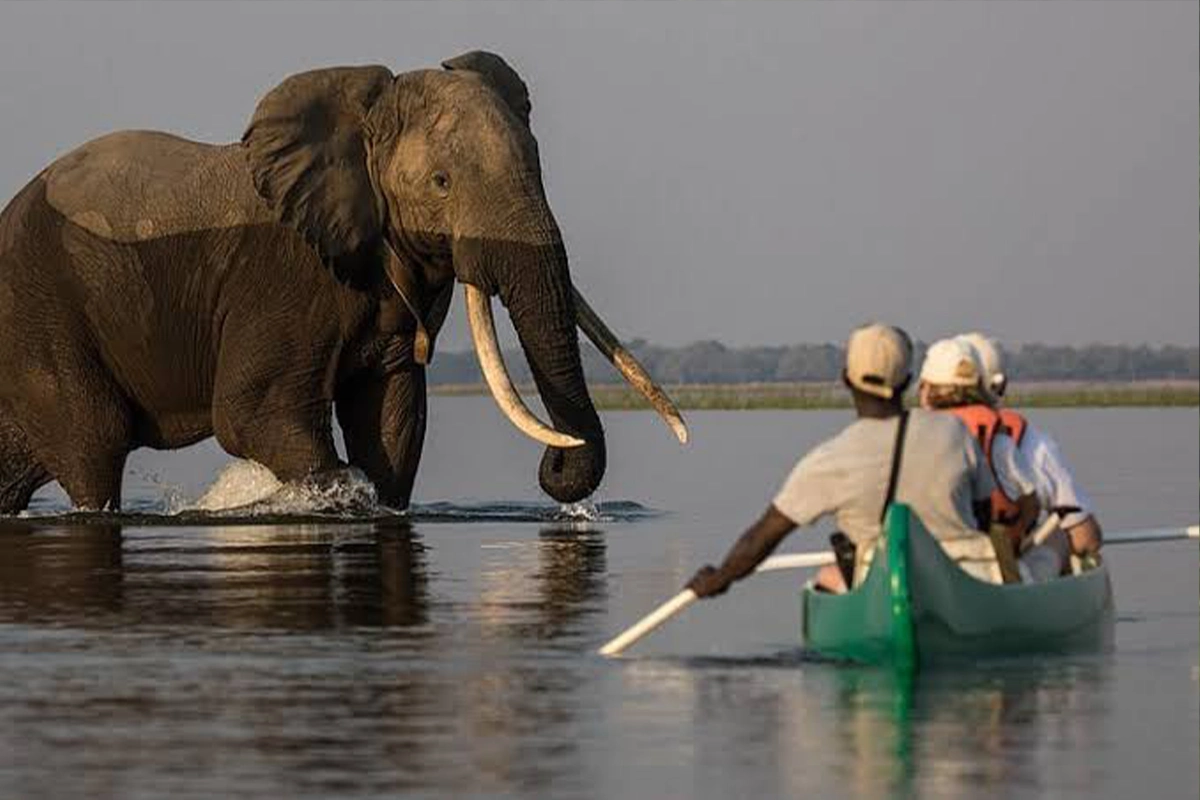 A nature outing at Lake Duluti
