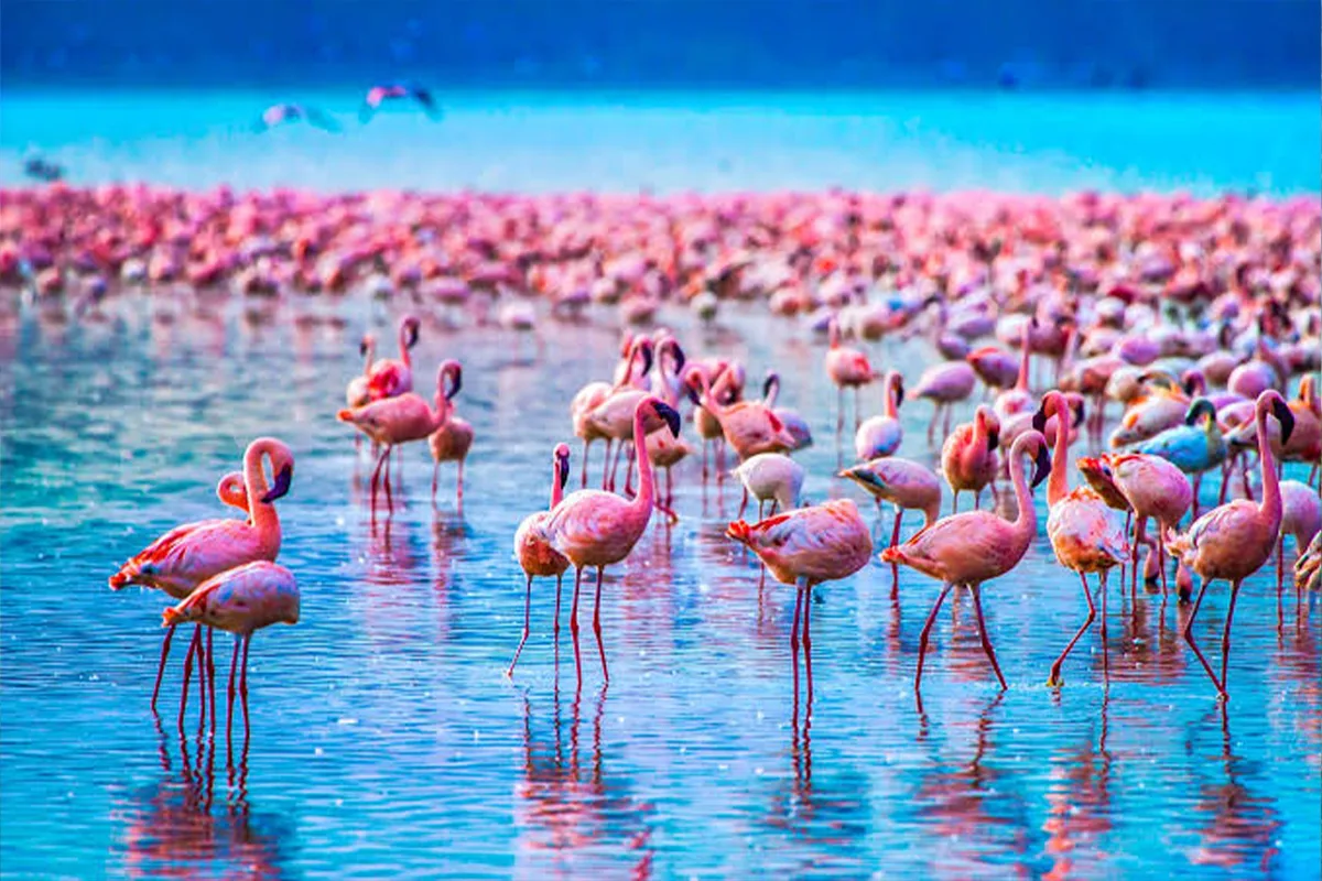 Lake Manyara National Park landscape