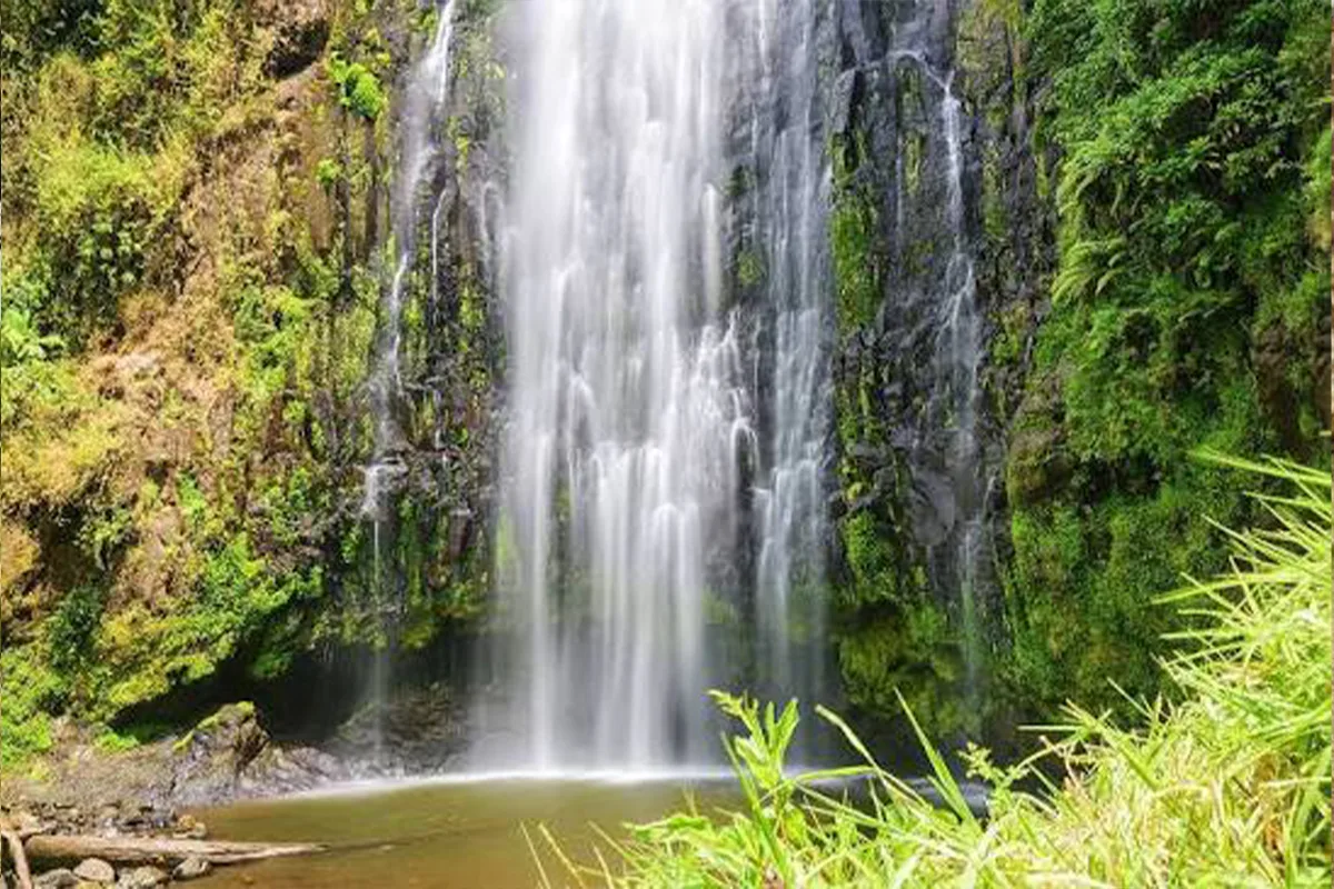 Materuni Waterfalls and coffee experience