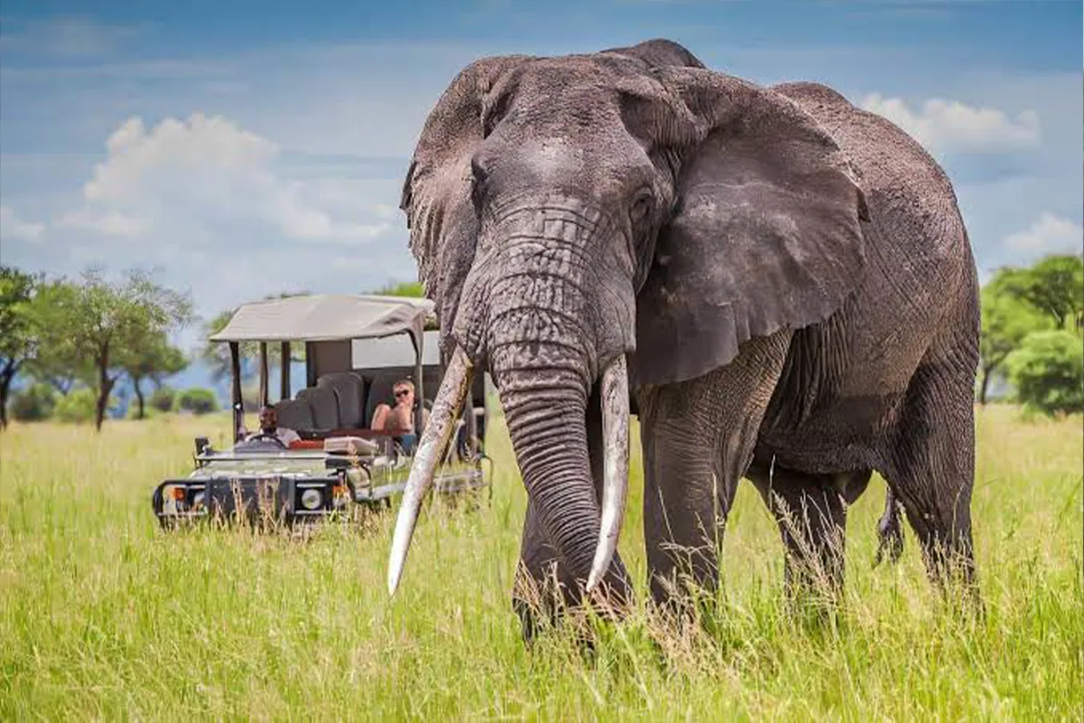 Tarangire National Park landscape