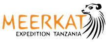 Tanzania Safari Journey